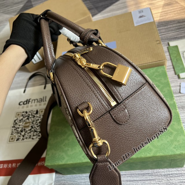 Gucci官網新款女包 古馳Ophidia系列中號GG手提包724575 gqy4549